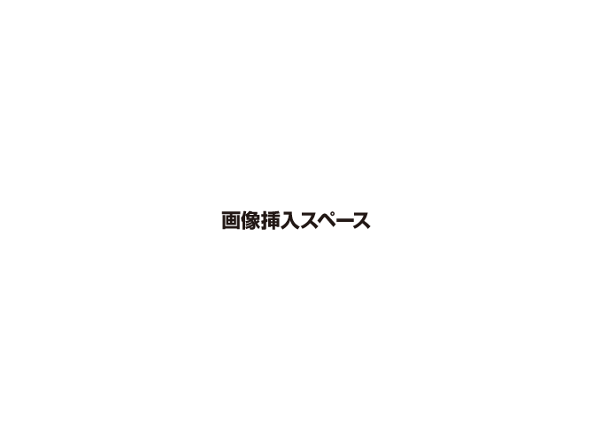 画像挿入スペース 画像挿入スペース